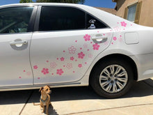 Load image into Gallery viewer, HK SAKURA LIVERY KIT